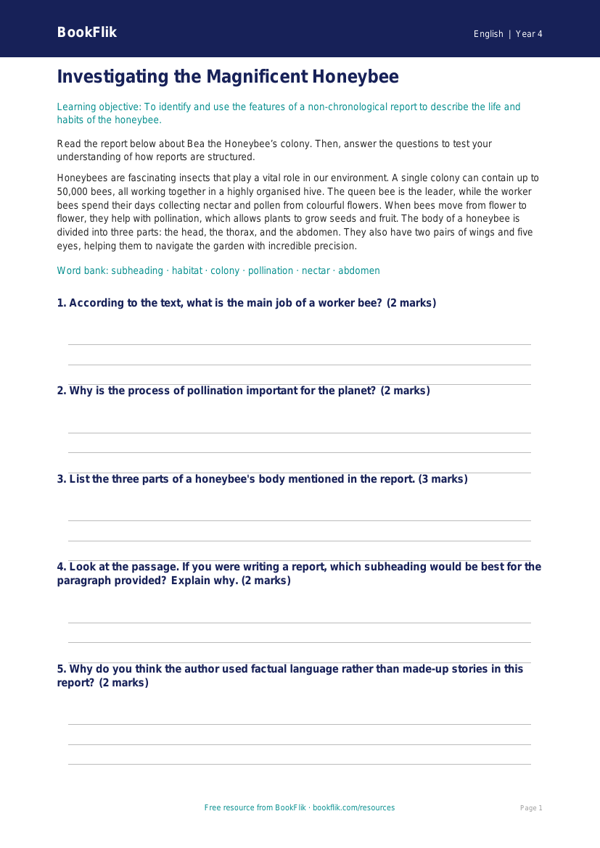 Free Report Writing Activity Sheet | Year 4 Core | BookFlik worksheet preview — English Report Writing